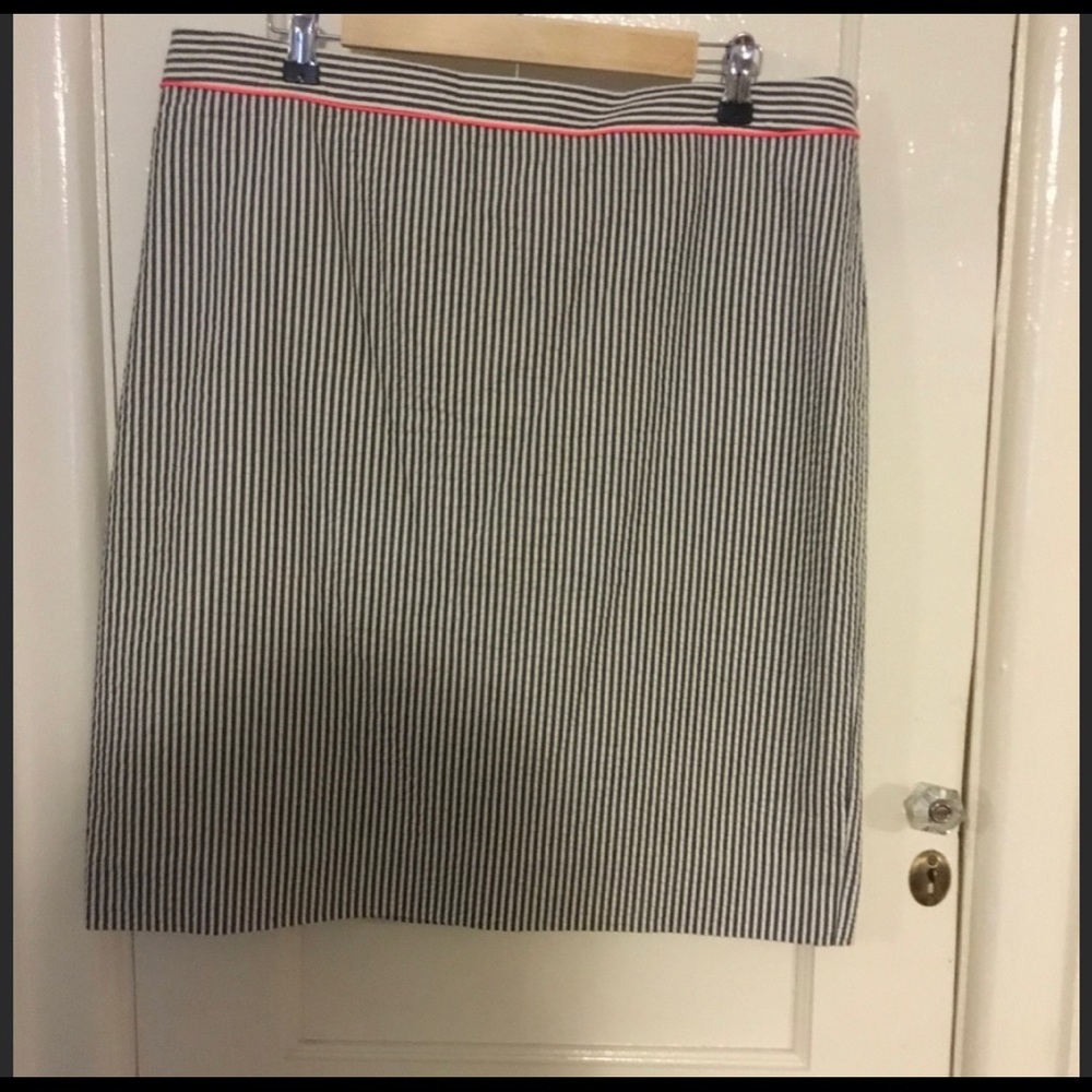 JCrew Skirt